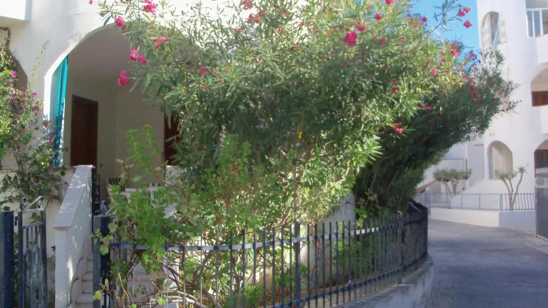 Apartment Villetta Indipendente Rodi Garganico
